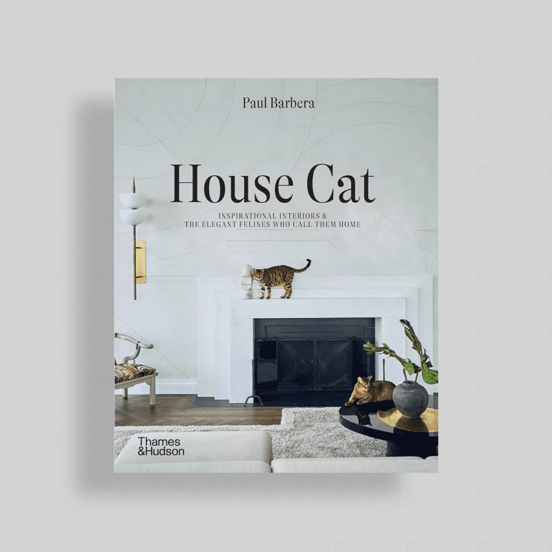 Books House Cat Cover