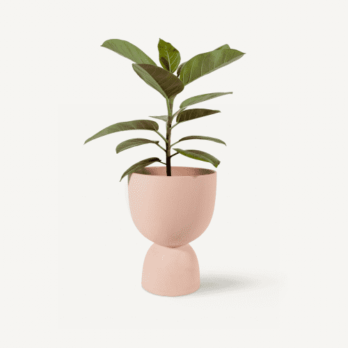 FrancaStackedPlanter