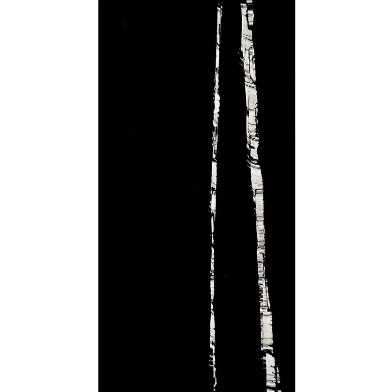 black birch 14 1200x1200 f2ef32b6 3e16 4665 aba9 f8eec11521c5